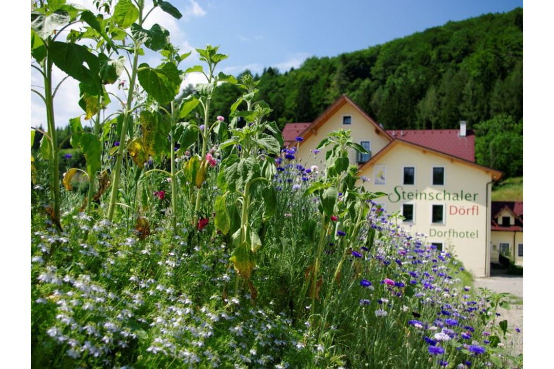 Naturhotel Steinschaler Dörfl