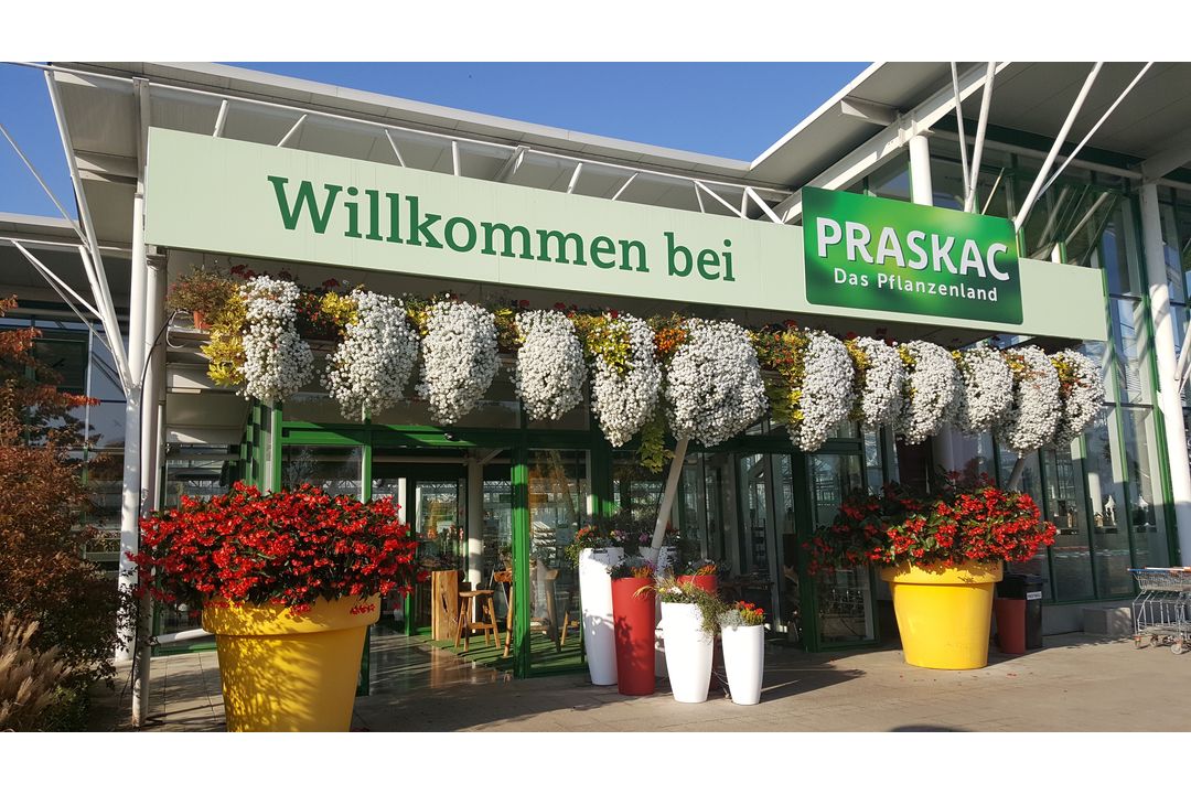 Eventglashaus - Praskac Das Pflanzenland