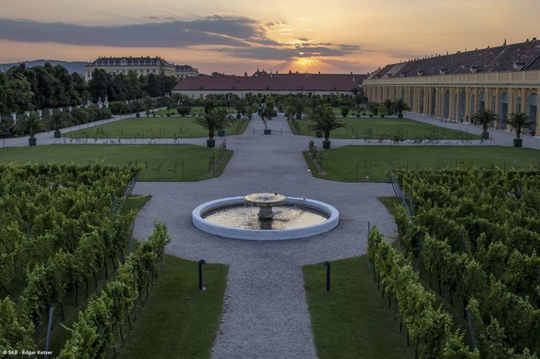 Schönbrunn Meeting und Events