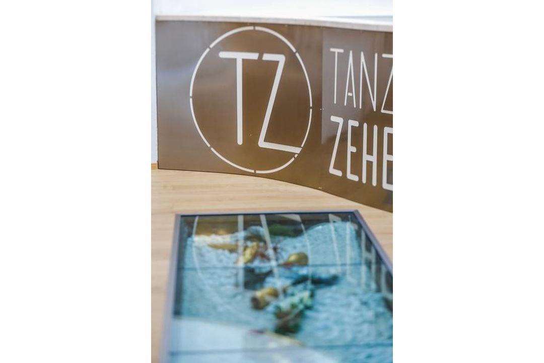 Tanzwelt Zehender